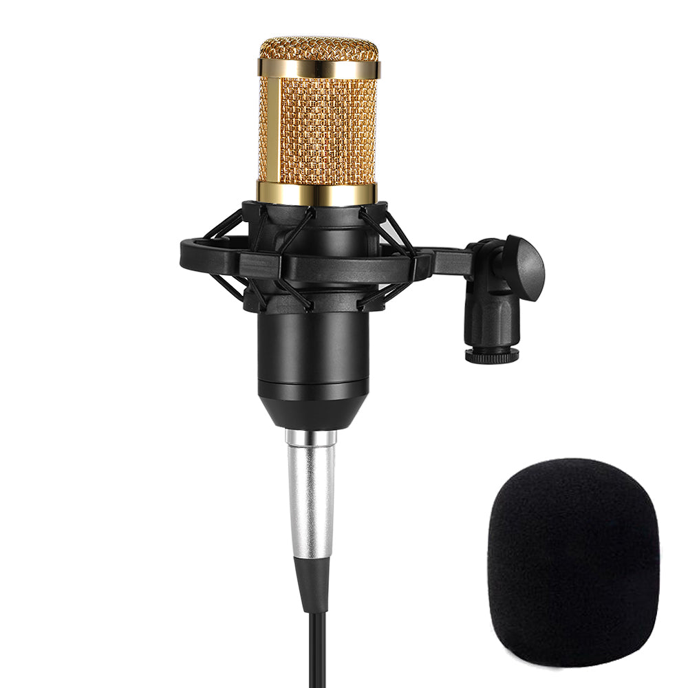 BM800 Condenser Studio Microphone